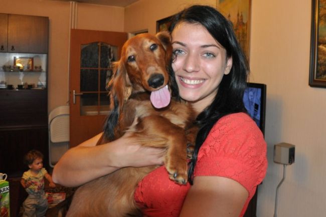 NADIM jamniki Kollapsar